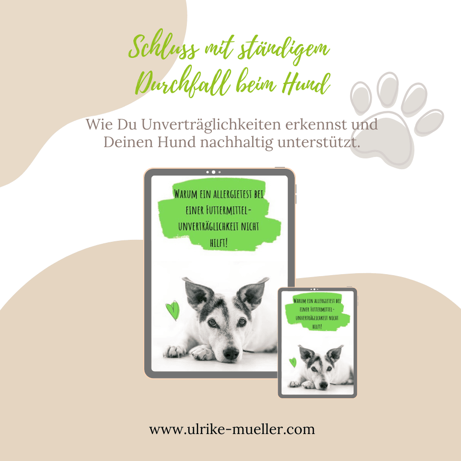 Mockup eBook Unverträglichkeit (940 x 940 px)